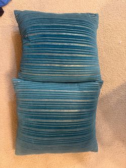 2 PILLOWs light use GREAT CONDITION!
