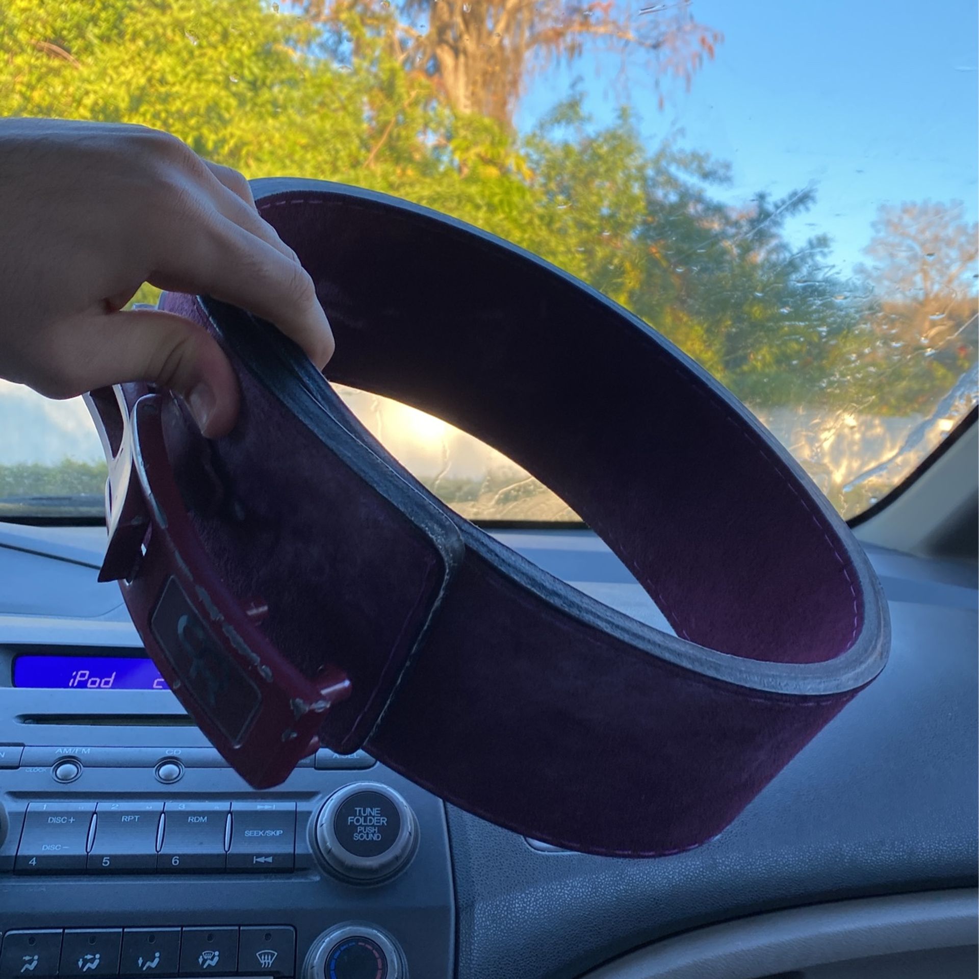 Larry Wheels Weightlifting Belt