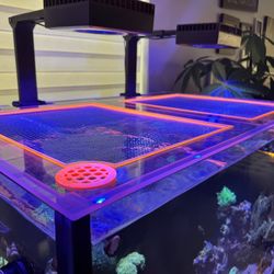 Custom Polycarbonate Aquarium Lids — Any Tank, Any Size 