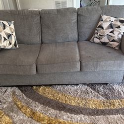 Couch And Rug For Sale