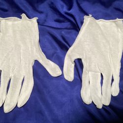 Dust Gloves (12 Pack)