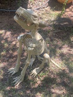 Skeleton dog Halloween decor