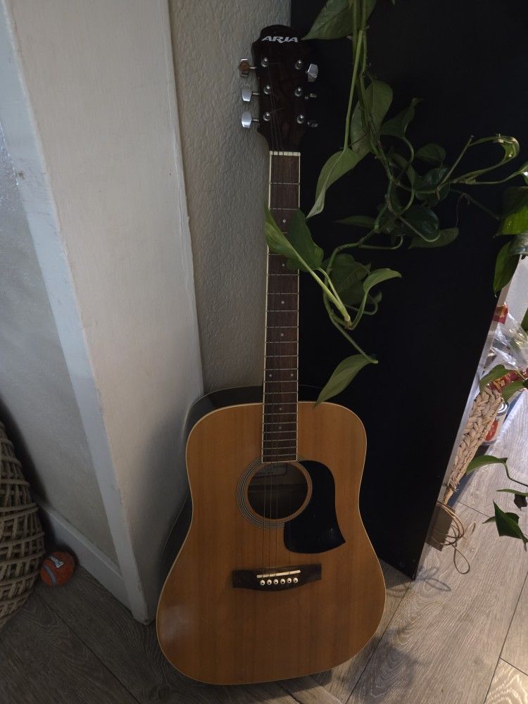 Aria Acoustic Guitar