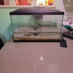 10 gallon Fish Tank + Filter + Heater