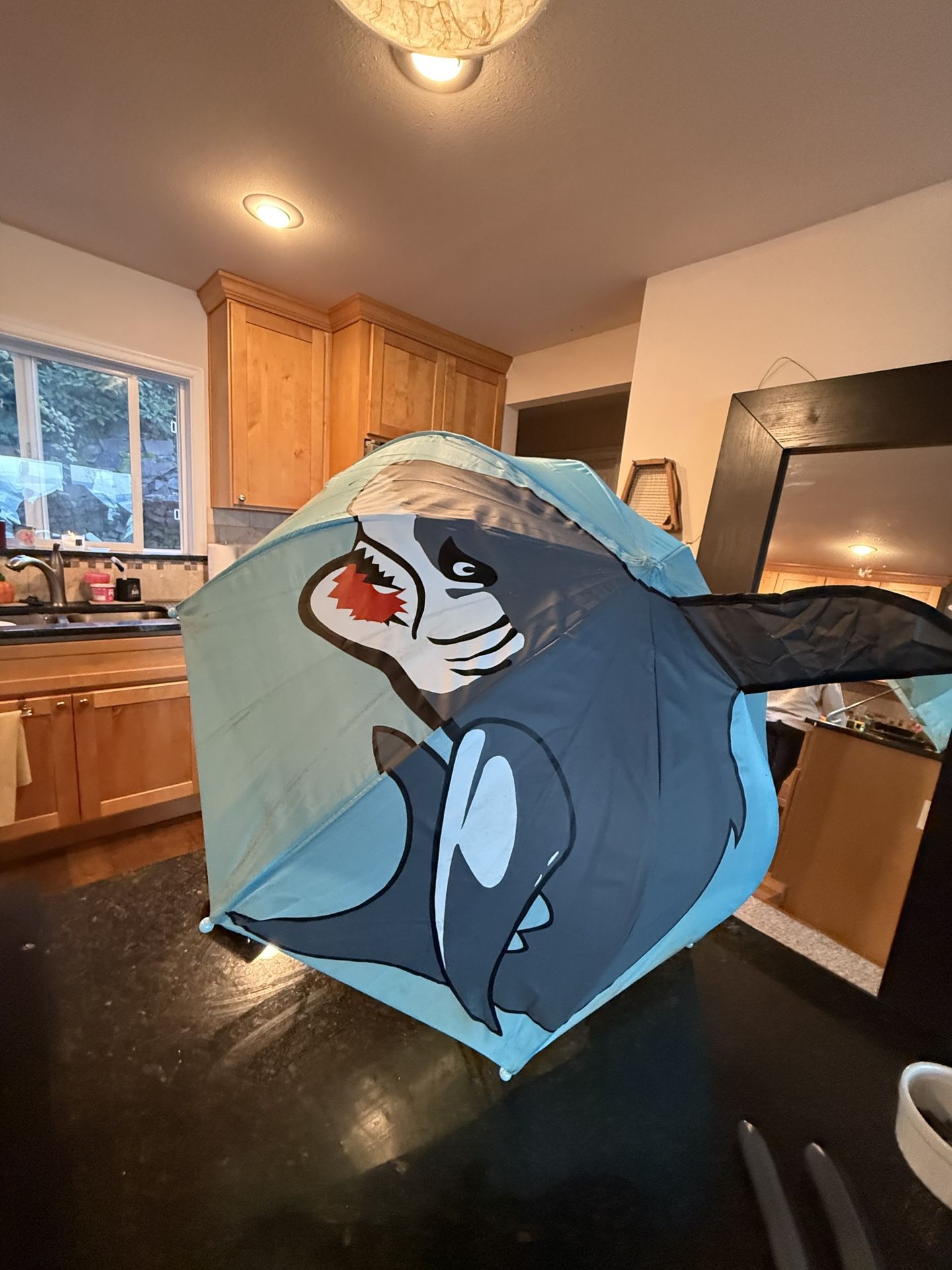 Kids Shark Umbrella