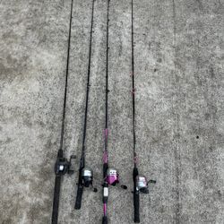 Bait Casting Rods