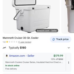Mammoth Cooler 