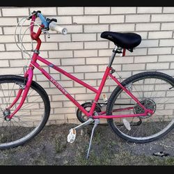 1985 Schwinn Maximizer Mountain Bike