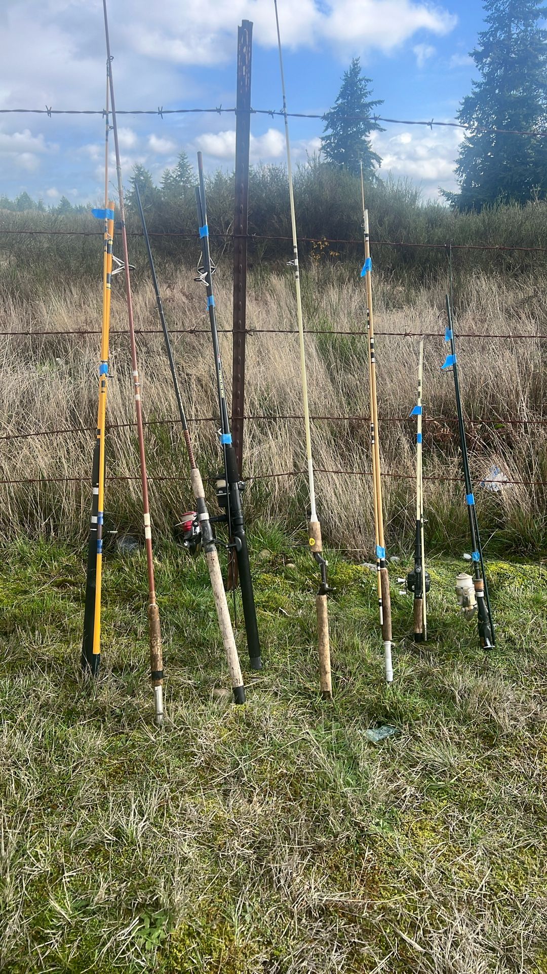 Fishing Rods