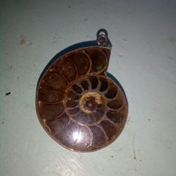 Fossil Pendant