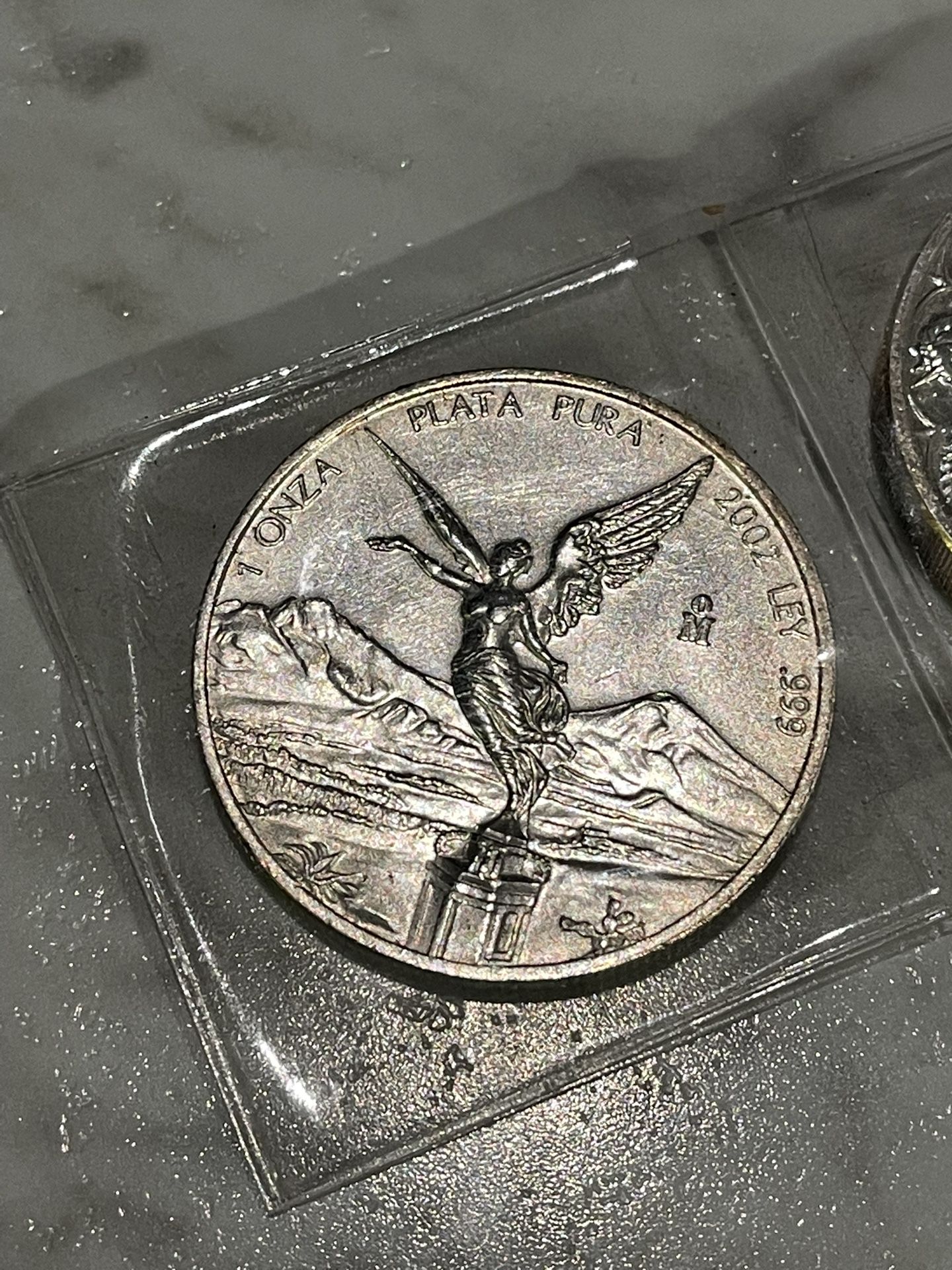 2002 Silver Libertad