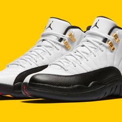 Air Jordan 12 “Taxi” Size 13