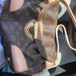 Louis Vuitton Purse