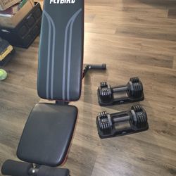 Flybird Bench And Adjustable Weights