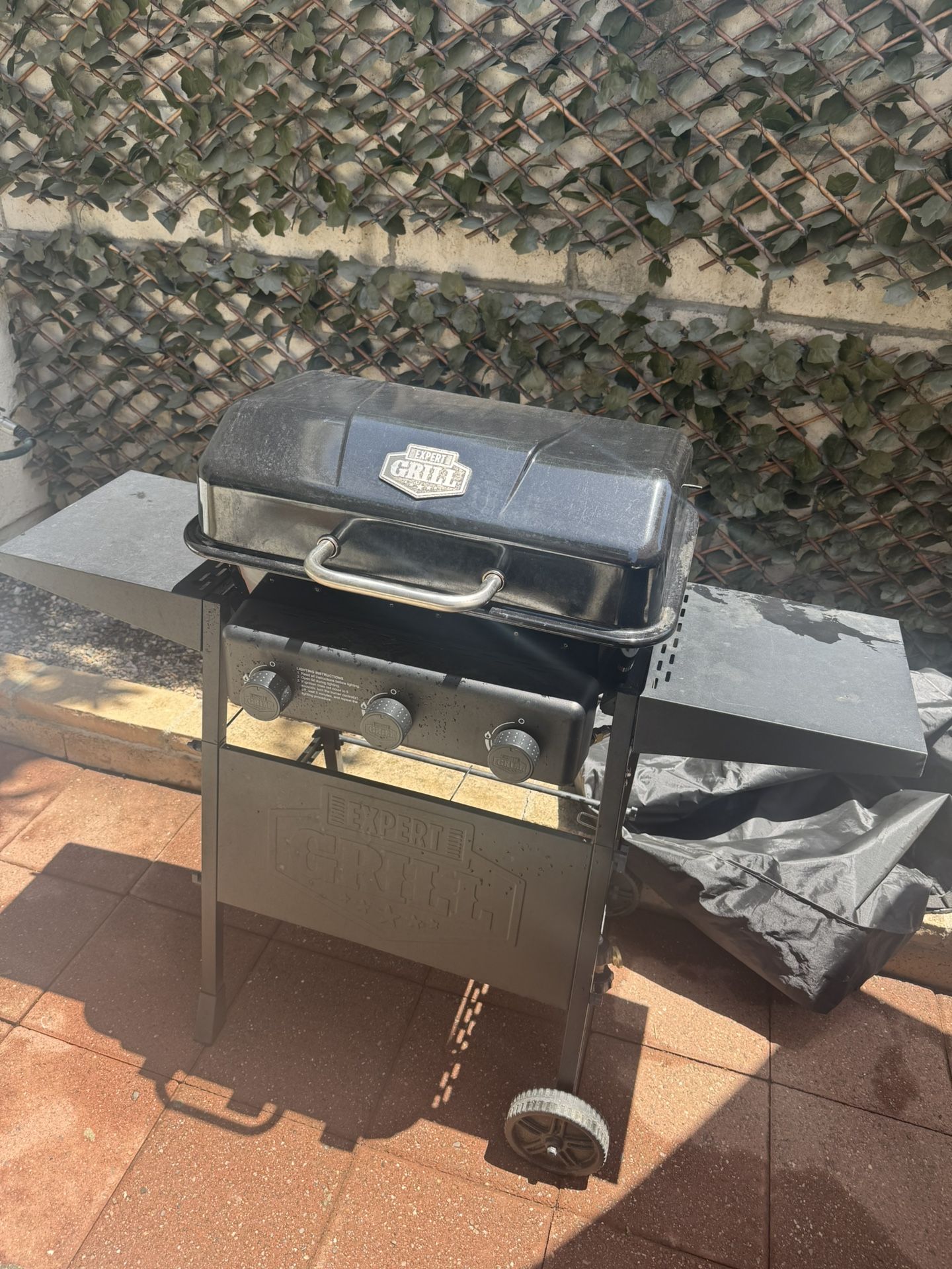 Black Expert Grill BBQ With Bbq cover