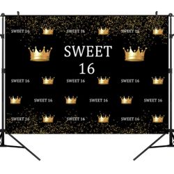 Sweet 16 Birthday Photography Backdrops