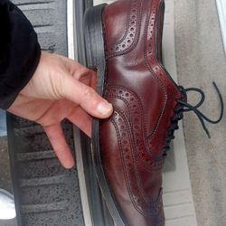 Allen Edwards Park Ave