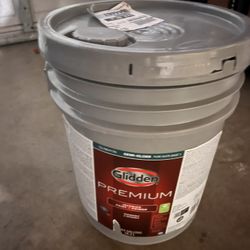 Paint 5gallon
