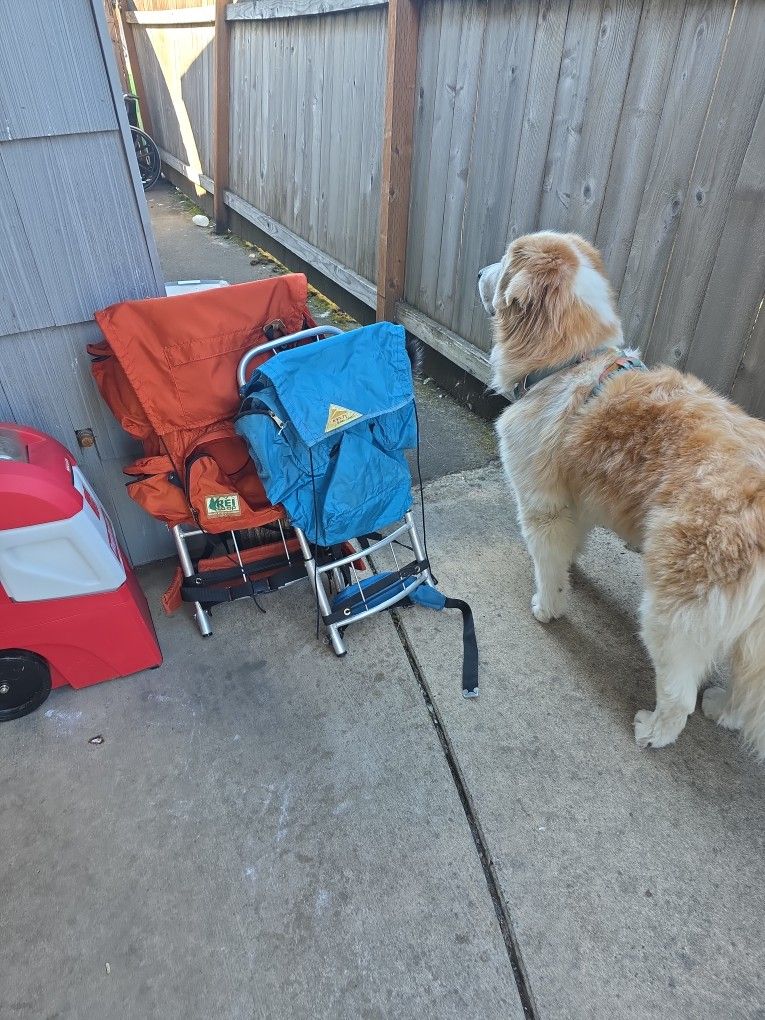 Vintage adult REI Backpack+KELTy For Kids