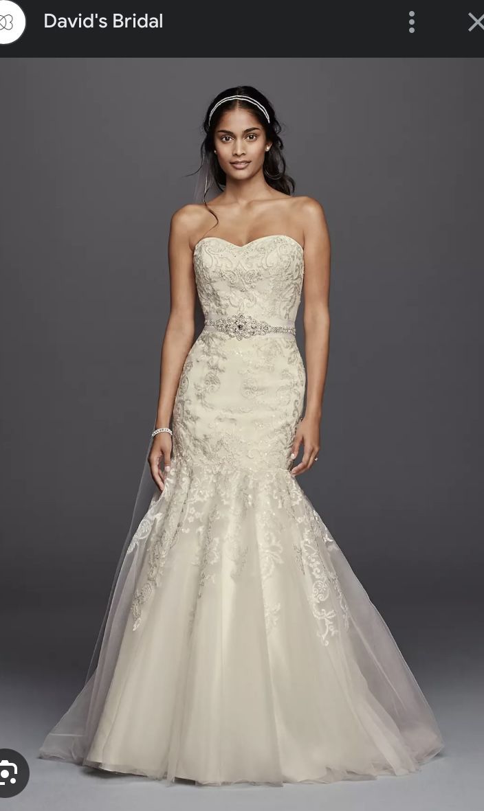 Wedding Dress and Veil