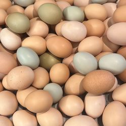 Farm Fresh Eggs