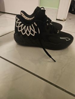 Puma melo