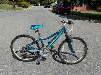 🚲 24" Performance Raven Mountain Bike – Ready to Ride!