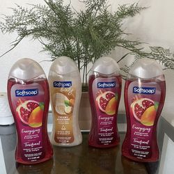 SOFTSOAP BODY WASH