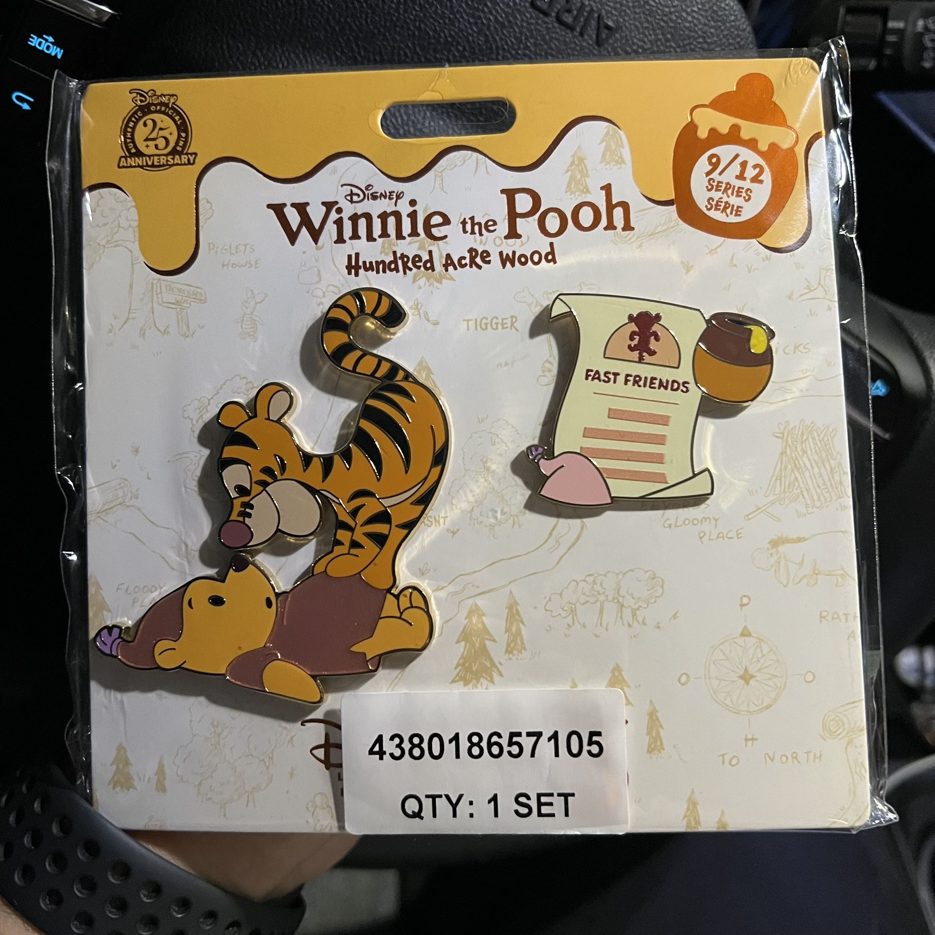 Disney Winnie The Pooh Hundred Acre Woods Tigger September 9/12 Pin