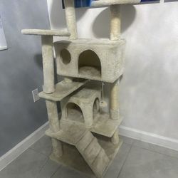 Cat Play Ground 