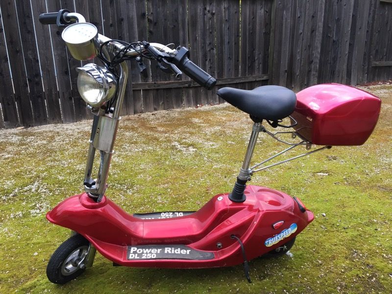 True Speed brand Power Rider DL250 electric scooter