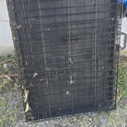 Free Dog Kennel 