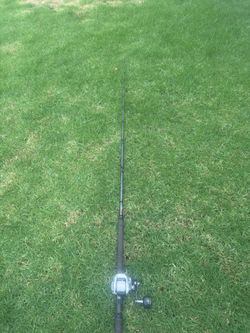 TranX 400HG on phoenix rod