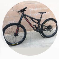 Santa Cruz Bronson C