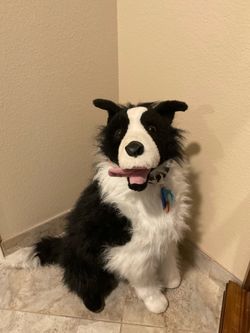 Plush boarder collie