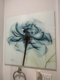 Albert Koetsier X-Ray Flower Glass Wall Art. ** Size: 23.5 inch x 23.5 inch **