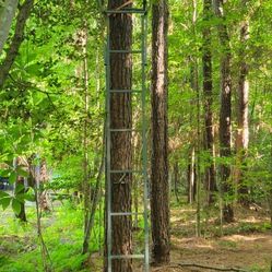 Two Person Tree Stand