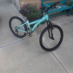 ladies 24-in diamondback mountain bike