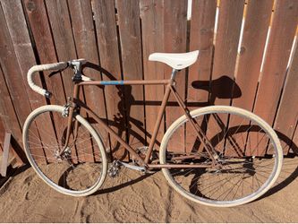 Bike - single speed - Campagna - 24” frame