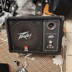 Peavey 112 M