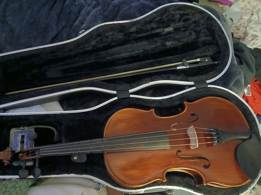 Size 16 Viola