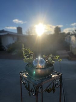 Vegas Succulent By Design