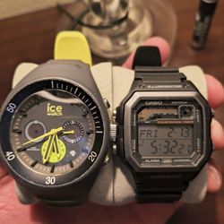 ICE Watch