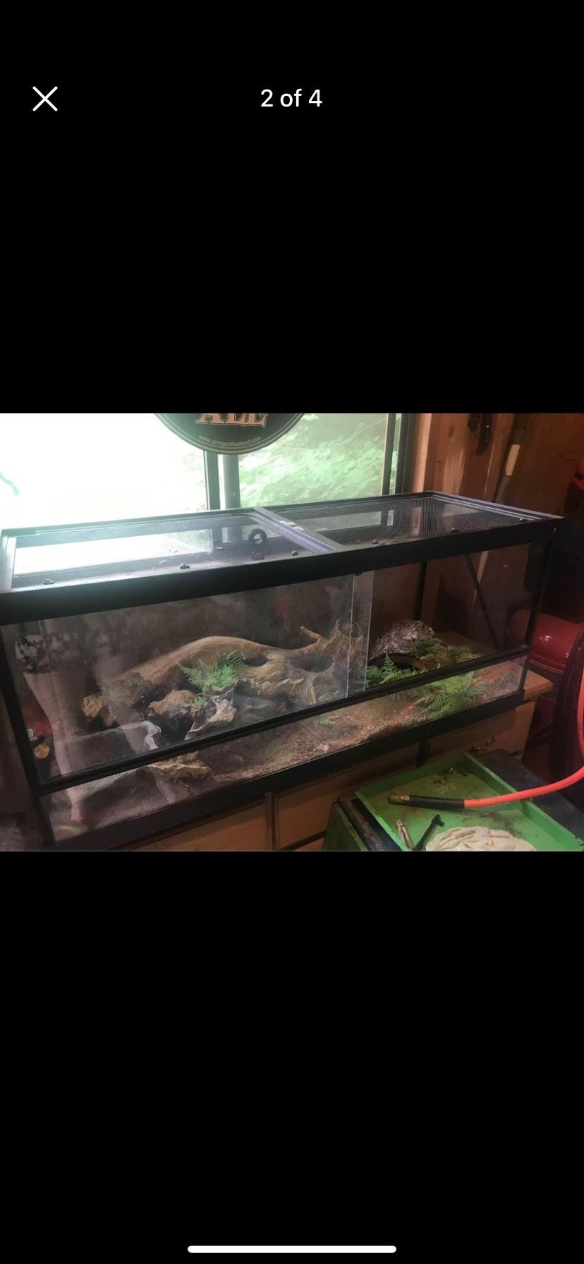 Large Reptile Tank