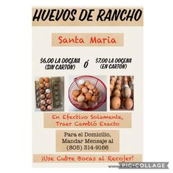 Huevos de Rancho