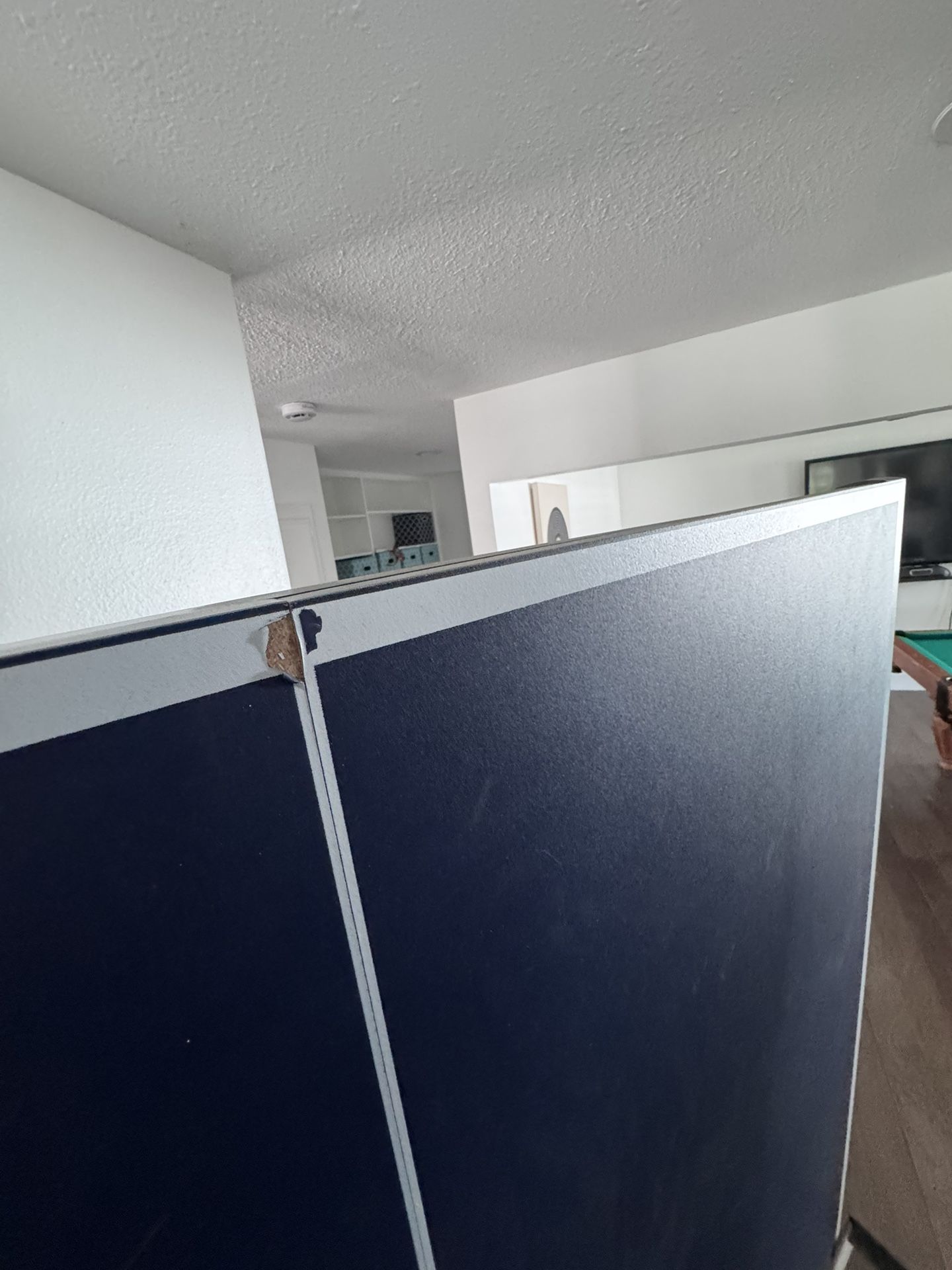 Ping Pong Table