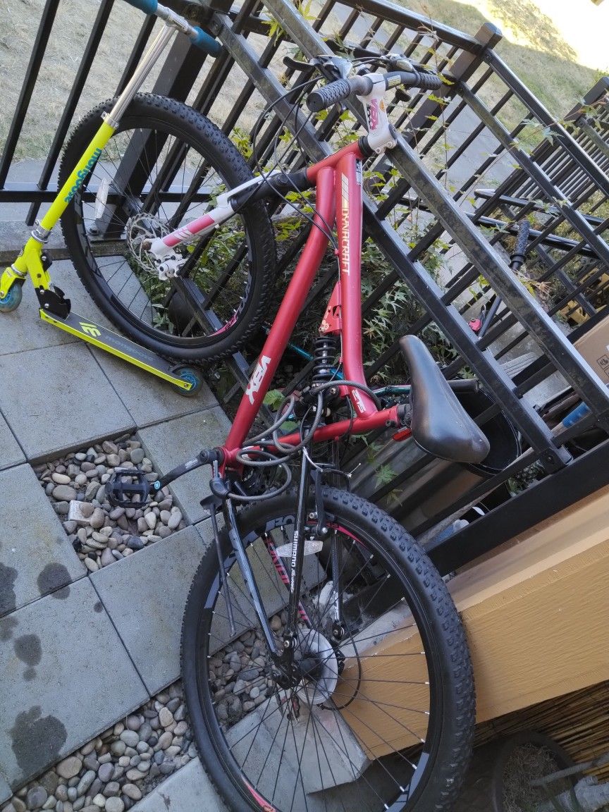 Adult Mountain Bike