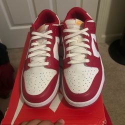 Nike Dunk jordan low