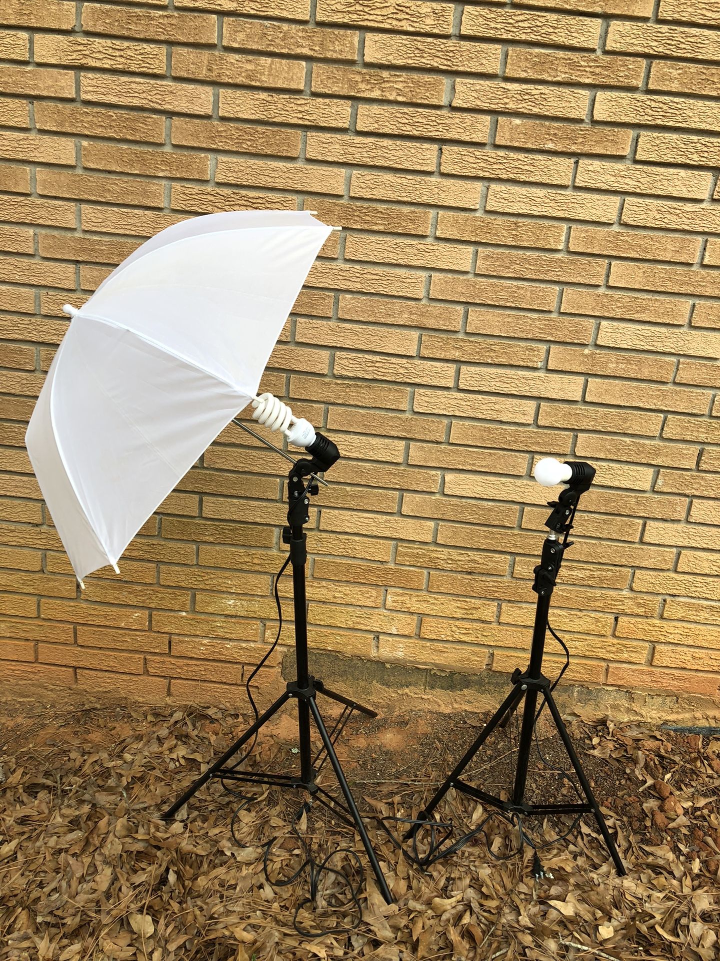 Attention Photographers! Complete (Partially) Fancierstudio Lighting Kit (DK2) - Great Value!