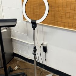 Daylight Standing Light